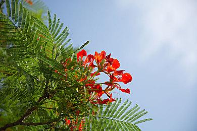 《上古卷轴5》Mod“Skyblivion”新实机演示 太漂亮了